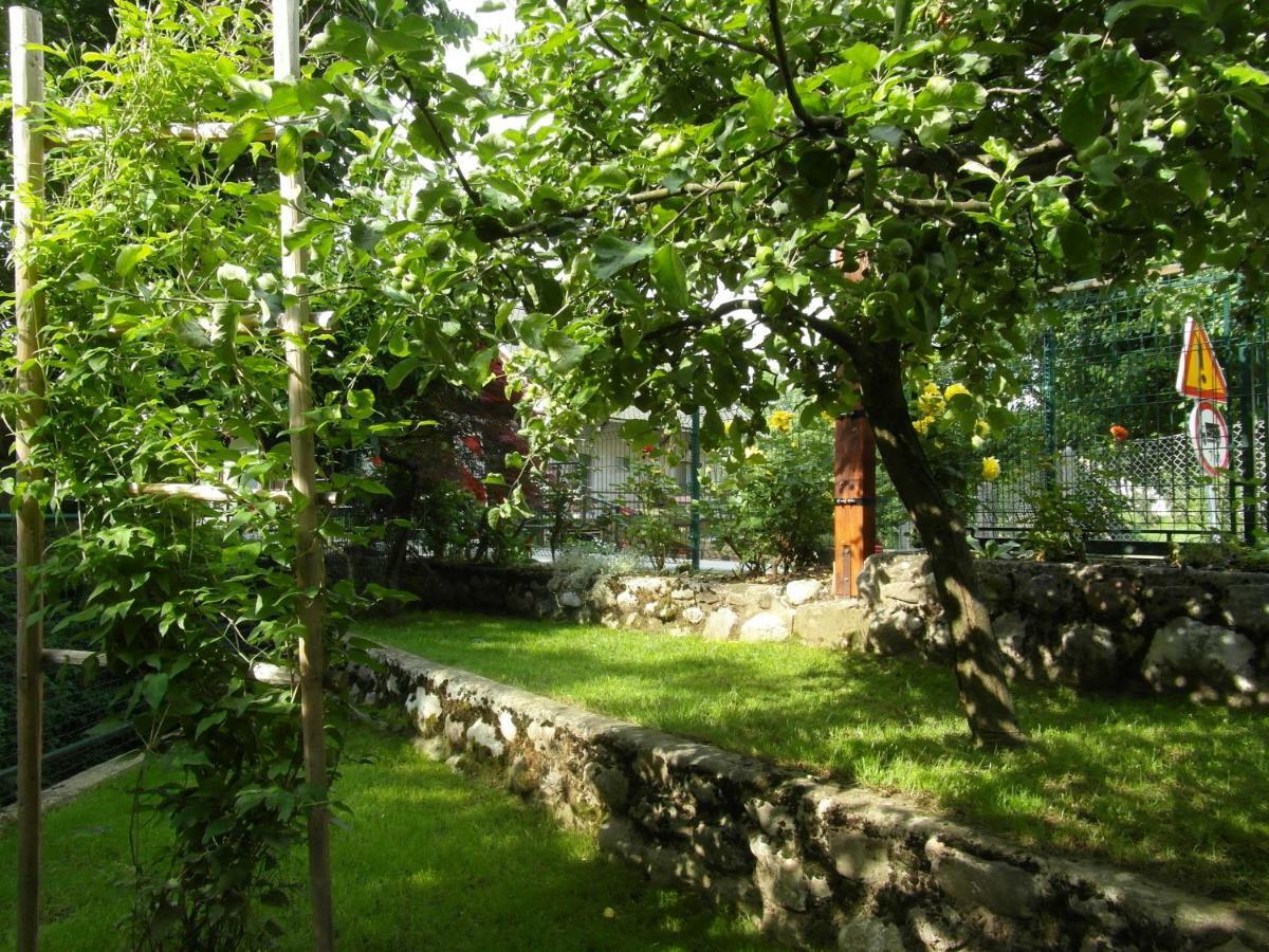 Apartma Pr Martin Begunje Exterior foto